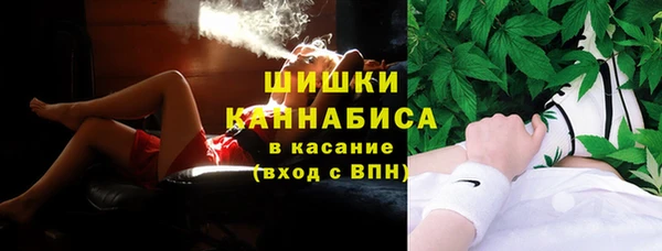гашик Горняк