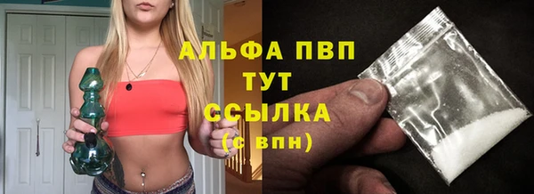 гашик Горняк