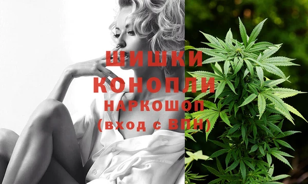 гашик Горняк