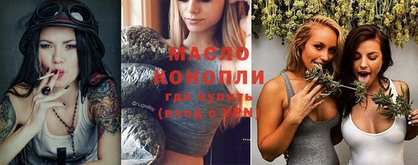 гашик Горняк