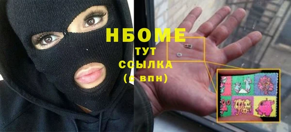 гашик Горняк