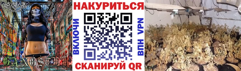 Купить где  Короча  Каннабис OG Kush 